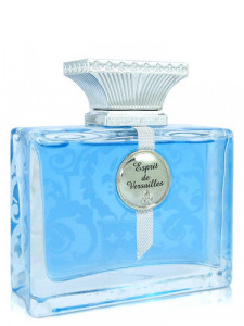 ESPRIT DE VERSAILLES FOR HIM EDT 100ML WODA TOALETOWA