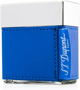 DUPONT PASSENGER ESCAPADE FOR MEN EDT 30ML WODA TOALETOWA