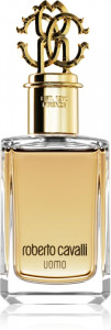 ROBERTO CAVALLI UOMO EDT 100ML WODA TOALETOWA