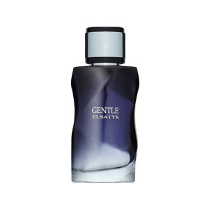 REYANE TRADITION GENTLE ELSATYS EDP 100ML WODA PERFUMOWANA