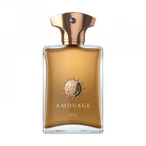 AMOUAGE DIA POUR HOMME EDP 100ML WODA PERFUMOWANA